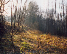 Погода в Україні, фото: lib.ru