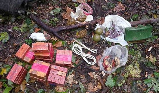 В Донецкой области взрывчатку спрятали в дереве (фото)