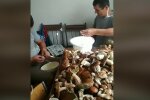 Закарпатці-заробітчани похизувалися грибами, фото з Фейсбук