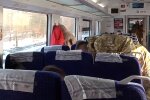 Поезд внутри, скриншот: Youtube