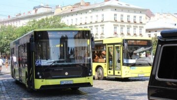 Львовские маршрутки, фото: Типичный Львов