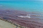 Чорне море в Анапі стало червоним