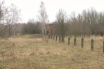 Чорнобильська зона відчуження, кадр з відео