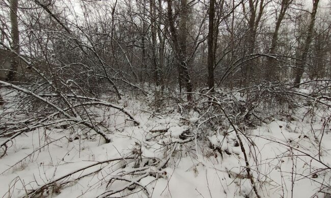 Зима, мороз - фото Знай.ua