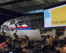 Офіційно: стала відома роль Росії у трагедії Боїнга-777