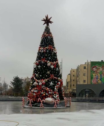 На Деміївській встановили першу ялинку в Києві, фото: соціальні мережі