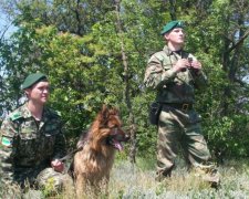 Угроза на украино-венгерской границе: версия пограничников