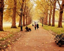 Погода приготовила украинцам радостный сюрприз