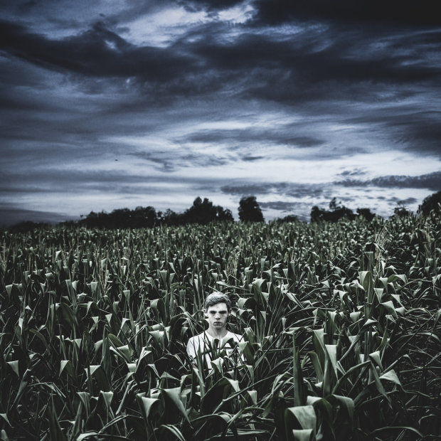 Жуткие встречи в кукурузных полях: когда реальность напоминает фильм ужасов