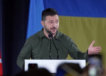 Владимир Зеленский, скриншот: Telegram