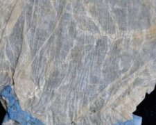 Презерватив з овечої кишки продали на аукціоні  за 600 євро