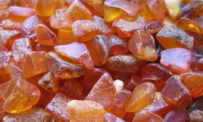 Житомирские бандиты стреляли в местных жителей из-за янтаря