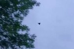 Російський дрон-камікадзе «Шахед»