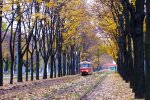 Погода у Харкові на 8 листопада: врятують тільки парасольки