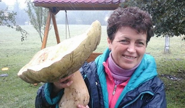 Тернополянка знайшла у Карпатах гігантський гриб (фото)