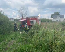 На продуктовому ринку під Харковом спалахнула потужна пожежа, забудьте про овочі: кадри лиха