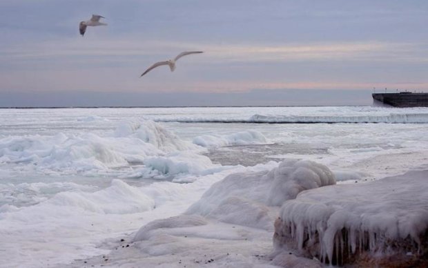 Украинское море сковал лед: невероятные кадры