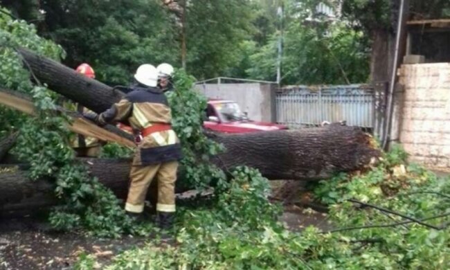 Ужгород знову потерпів від негоди