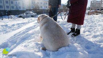 Хаммер до похудения / фото: Hornews