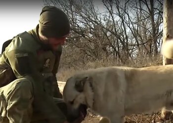 Украинский защитник и собака. Фото: скрин youtube