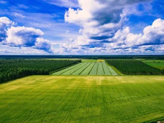 Сільськогосподарська земля в Україні