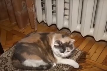 Скрін, відео YouTube опалення