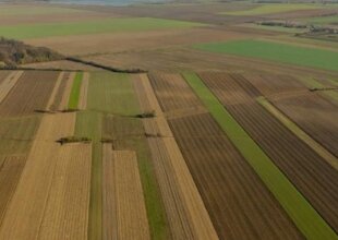 Земельний податок в Україні — гроші та документи