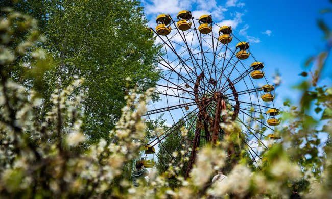 Квітучий світ зони відчуження