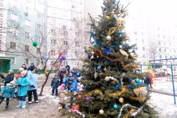 Еще один "слабак": в Запорожье выбросили елку