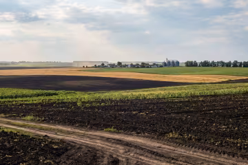 земля пай сільгоспполе чорнозем