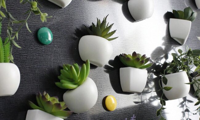 Магніт на холодильник, скріншот з Instagram