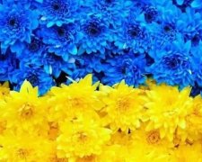 Стало відомо, кому в Україні жити добре