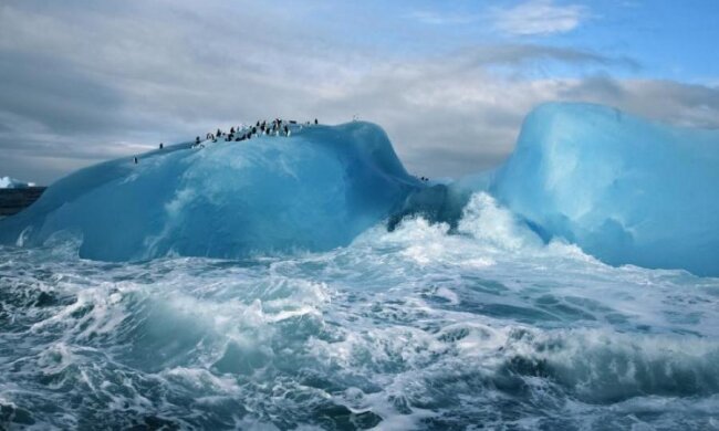 В пещерах Антарктиды нашли затерянный мир