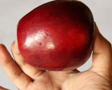 Вчені назвали найкорисніший фрукт
