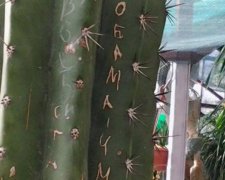 Обама чмо - російські туристи в Криму зіпсували вікові кактуси (фото)
