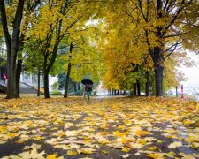 Осінь посилає прощальний поцілунок: останнє тепло зігріє Вінницю 17 листопада