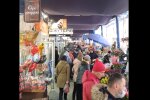 Українці перетворили червону зону на бордову: куди без тюльпанів
