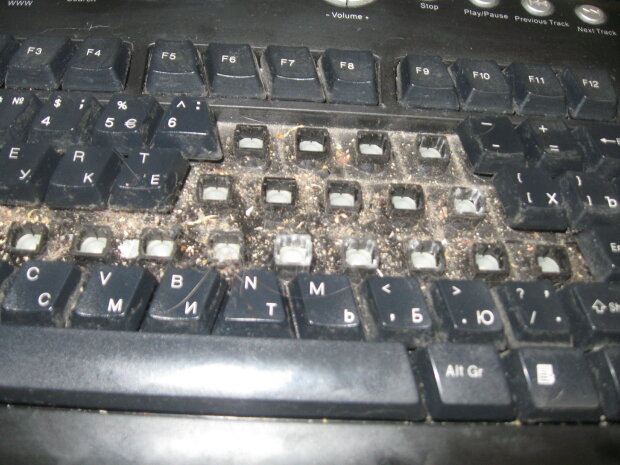 Почему не работает клавиатура и как это исправить
