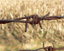 Чиї паї: що спільного у резонансних історій із землею у Кіровоградській області