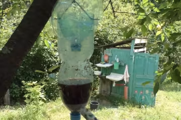 Пастка для комарів, скріншот: YouTube