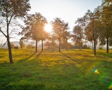 В Україну йде літня погода