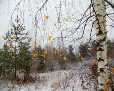 Погода в Украине, фото: ФотоКто