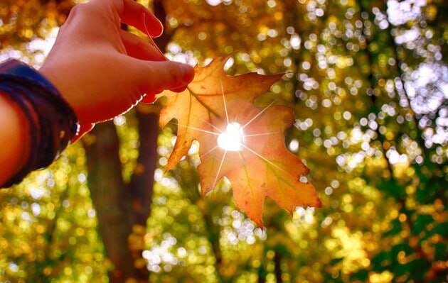 Осень, погода, фото из соцсетей