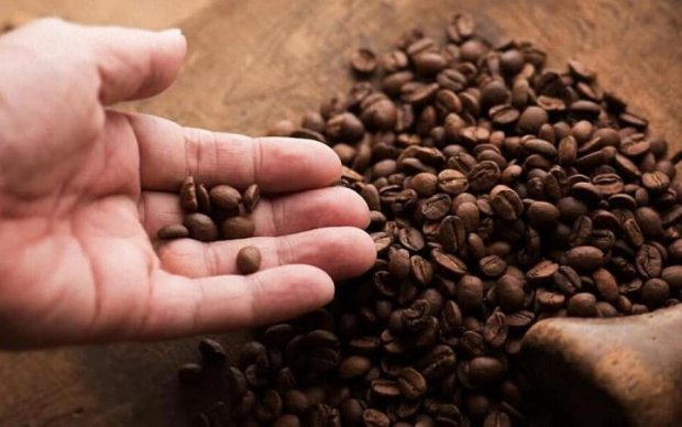 Вчені розповіли про згубну дію кави