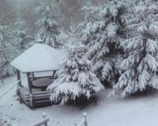 Карпати завалило снігом