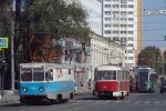 Харковом розгулює лисиця: небезпечні витівки рудої бестії потрапили на відео
