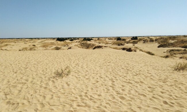 Изменения климата, фото из открытых источников