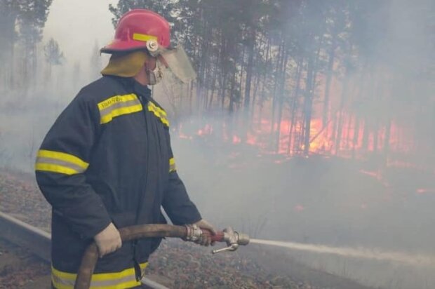 Пожар на Житомирщине, фото из свободных источников