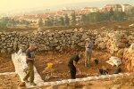 Археологи на раскопках, скриншот видео