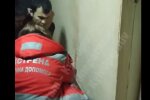 Фото « " Київ Оперативний»